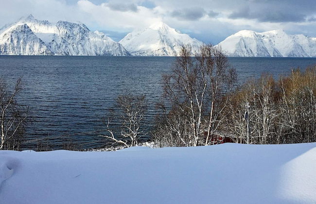 6 Person Holiday Home in Olderdalen - Foto 14