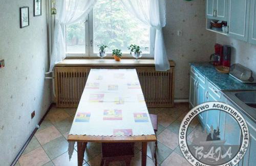 BAJA Gospodarstwo Agroturystyczne - Foto 26