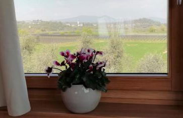 Agriturismo Fioralba - Photo 69