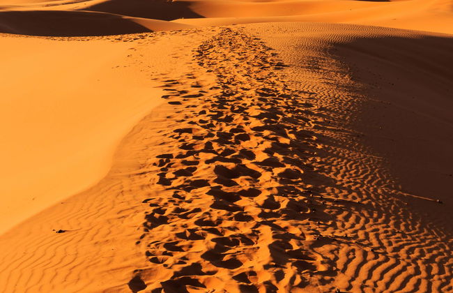 Escursione di 3 giorni nel deserto di Merzouga fino a Fès - Foto 9