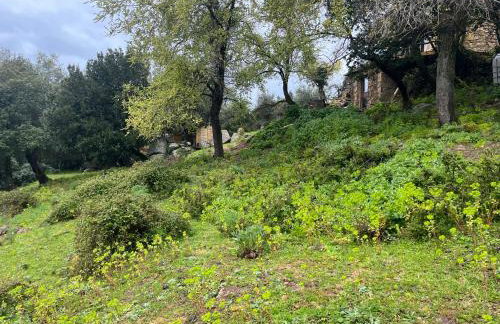 Maison typique Corse écologique - Photo 35