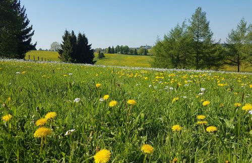 Landhaus Schnorrenberg, Wellness & Nature - Foto 52