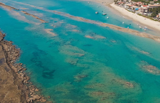 Escursione privata a Barra de São Miguel + Praia do Francês e Gunga - Foto 1