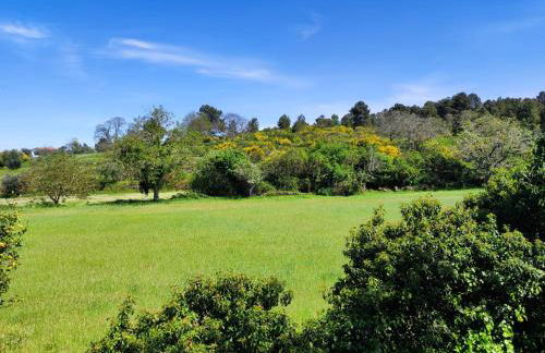 Casa da Martha - Foto 30