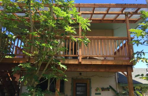 Lucy Fan Ohana - Photo 8