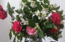 Bellavista Mantova - Foto 28