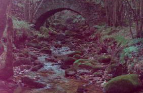 La Casa de Consuelo 3 - Foto 64