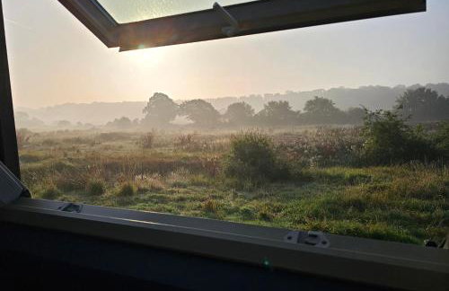 Lavish Country Retreat 30mins Taxi Ride From West London - Photo 13