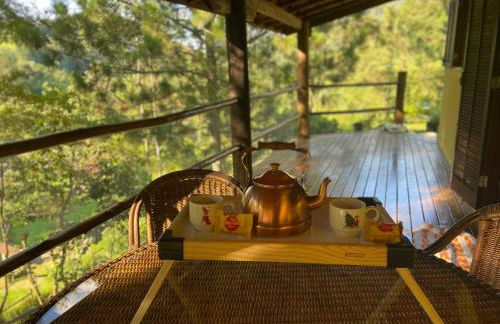 Chácara das Araucárias - Foto 1