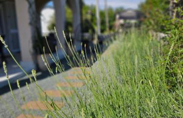 Villa Bellina Muraj - Photo 6