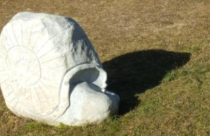 Masetto Egidio Eco-Agritur - Foto 70