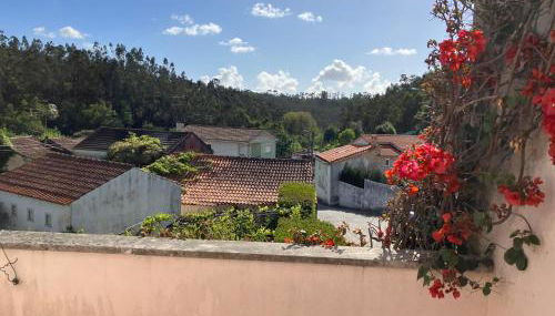 Citrus Tree House, private pool and garden. - Foto 3