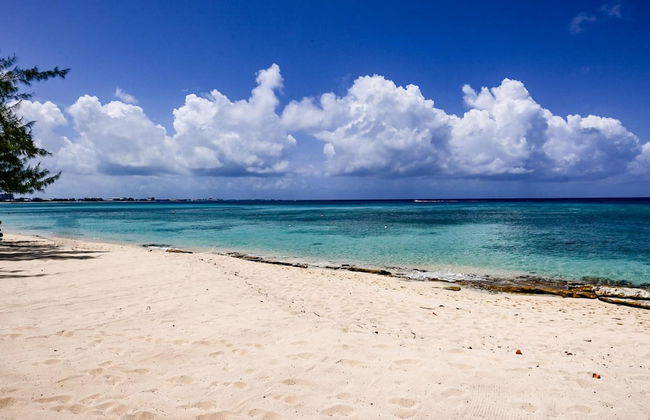 Luxury Penthouse Condo With 360 Oceanviews - Photo 22