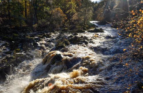 Toll Bridge Lodge - Foto 17