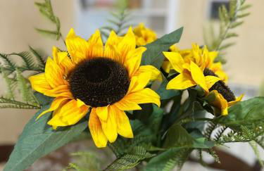 Podere La Selva - Foto 36