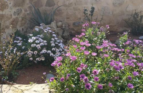 Amazing Stone Villas - Foto 8