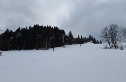 Chata Rafusa pod Śnieżnikiem - Foto 35