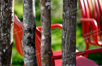 Gite Villa Elisaia location de meublés de tourisme chez l'habitant - Foto 11