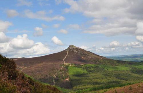 Bright House with Garden & Patio in Market Town - Foto 29