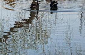 Agriturismo cergallina - Photo 11