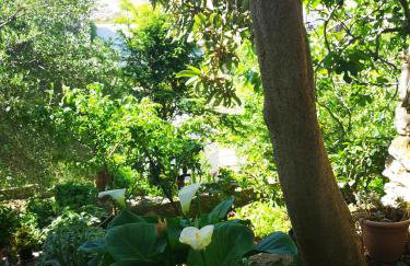 Apartman Sissy - Photo 47