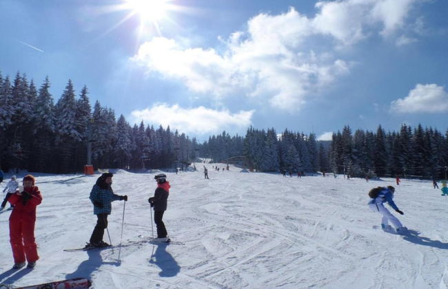 Nice Holiday Home With Fireplace in the Ore Mountains Near the Chairlift - Foto 21