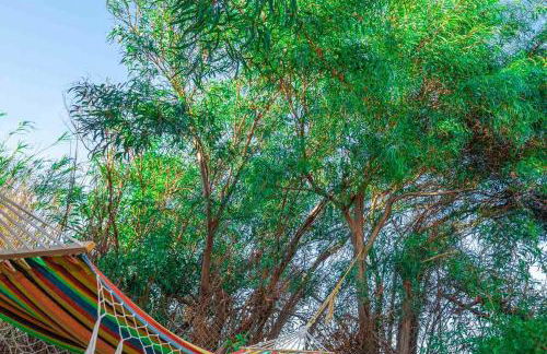 Casa Sofianna 2-bedroom home next to sandy beach - Foto 1