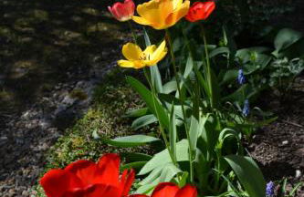 Gîte de charme proche du Zoo Beauval et Châteaux - Photo 46