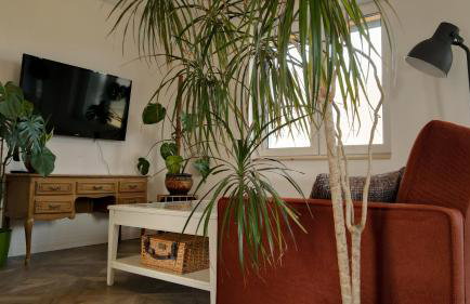 Lawendowy Raj - Foto 52