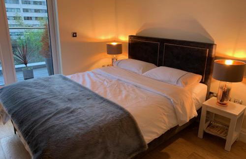 Thames View Apartment, Imperial Wharf - Foto 33