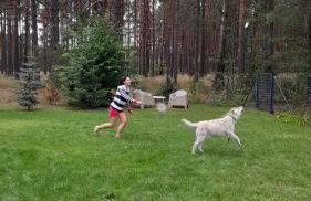 UTASIÓWKA Mazury - Photo 29