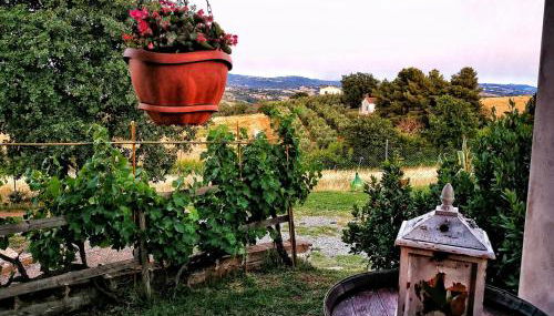 Agriturismo I Casamenti - Foto 5