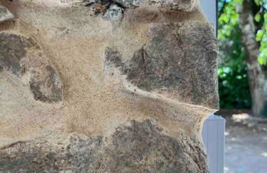 LesCinqSuites / Le Chivas - DABNB - Photo 10