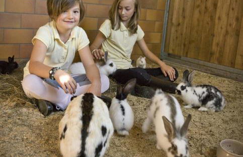 Ferienhof "Schoppa-Haisl" - Foto 13