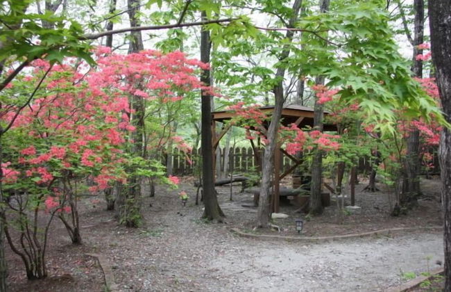 Suitaikyou - Foto 22