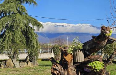 Kerkini's Harmony House - Foto 23