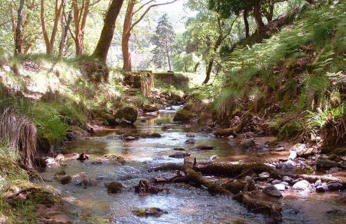 Ericeira Beach Trip Apartment - Foto 28