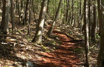 Hidden Gem on Golden Pond - Foto 29