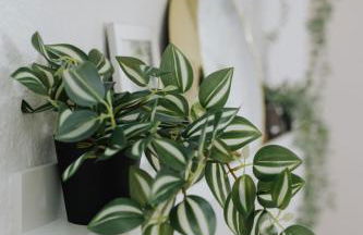 Ferienwohnung an der Kirche - Foto 18