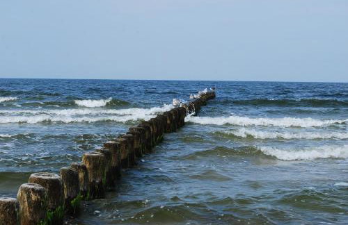 Dom wakacyjny Pawelkowo - Foto 45