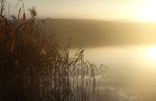 Glammseehaus Ulla Comfortable Holiday Residence - Foto 22