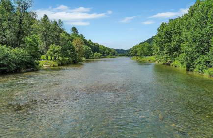 New River Views & Access - Hot Tub, Gazebo, Fire Pit, Next to Riverside Canoeing! - Foto 11