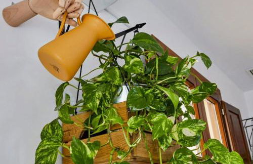 Apartamento Obispo centro Jerez de la Frontera - Foto 25