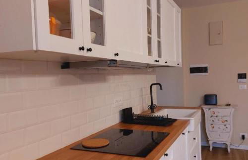 A CASA DI BICE&SISSI - vicino all'Allianz Stadium, centro città, Parco Dora, facoltà di informatica - Photo 1