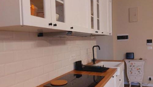 A CASA DI BICE&SISSI - vicino all'Allianz Stadium, centro città, Parco Dora, facoltà di informatica - Foto 1, stove, dishwasher