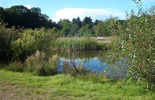 Ferienwohnungen Manfred Peters Baven - Photo 52