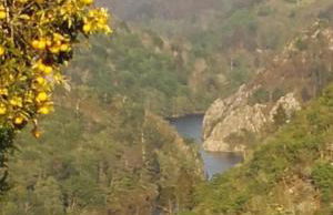 Mini Room Ron - Photo 15