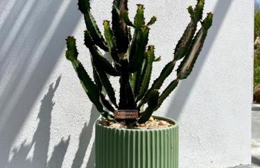 Vale Penedo - Foto 31