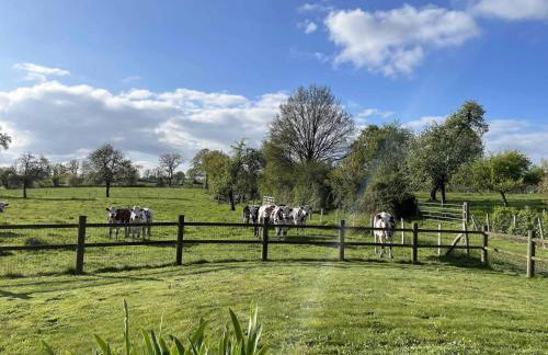 Charmante maison écologique avec jardin clos - FR-1-497-7 - Foto 15