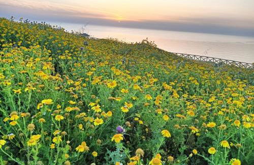 la casetta degli amici Ustica - Foto 10